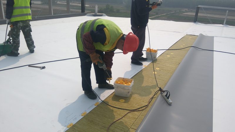 JS防水涂料与K11防水涂料：揭秘两者的本质区别